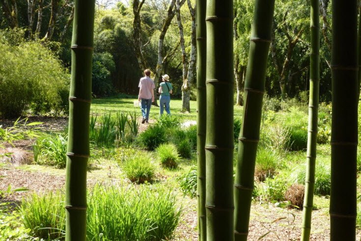Les Bambous De Planbuisson Garden, Le Buisson-de-Cadouin, France, France